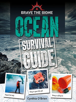 cover image of Ocean Survival Guide